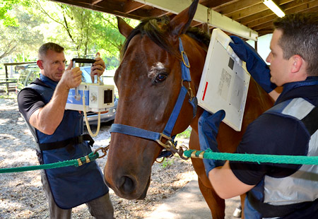 Scott Equine Services